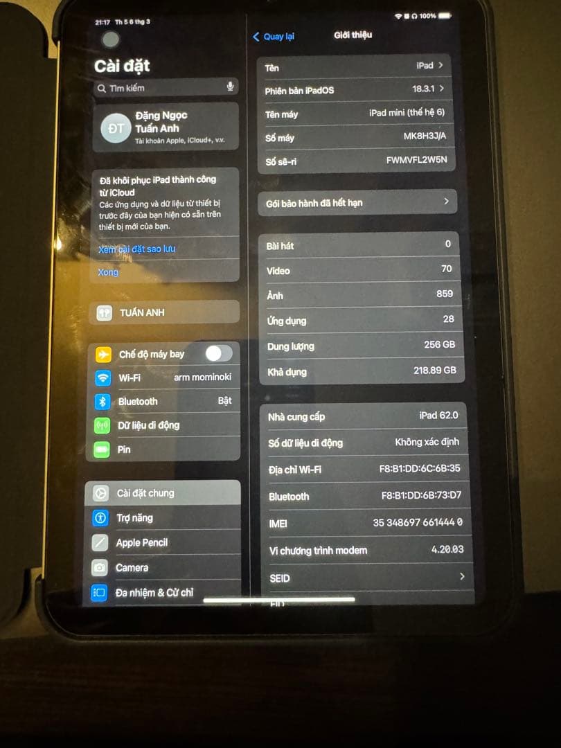 iPad本体 Apple iPad mini 6 256GB wifi+cellular