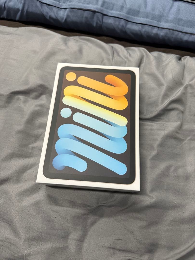 iPad本体 Apple iPad mini 6 256GB wifi+cellular