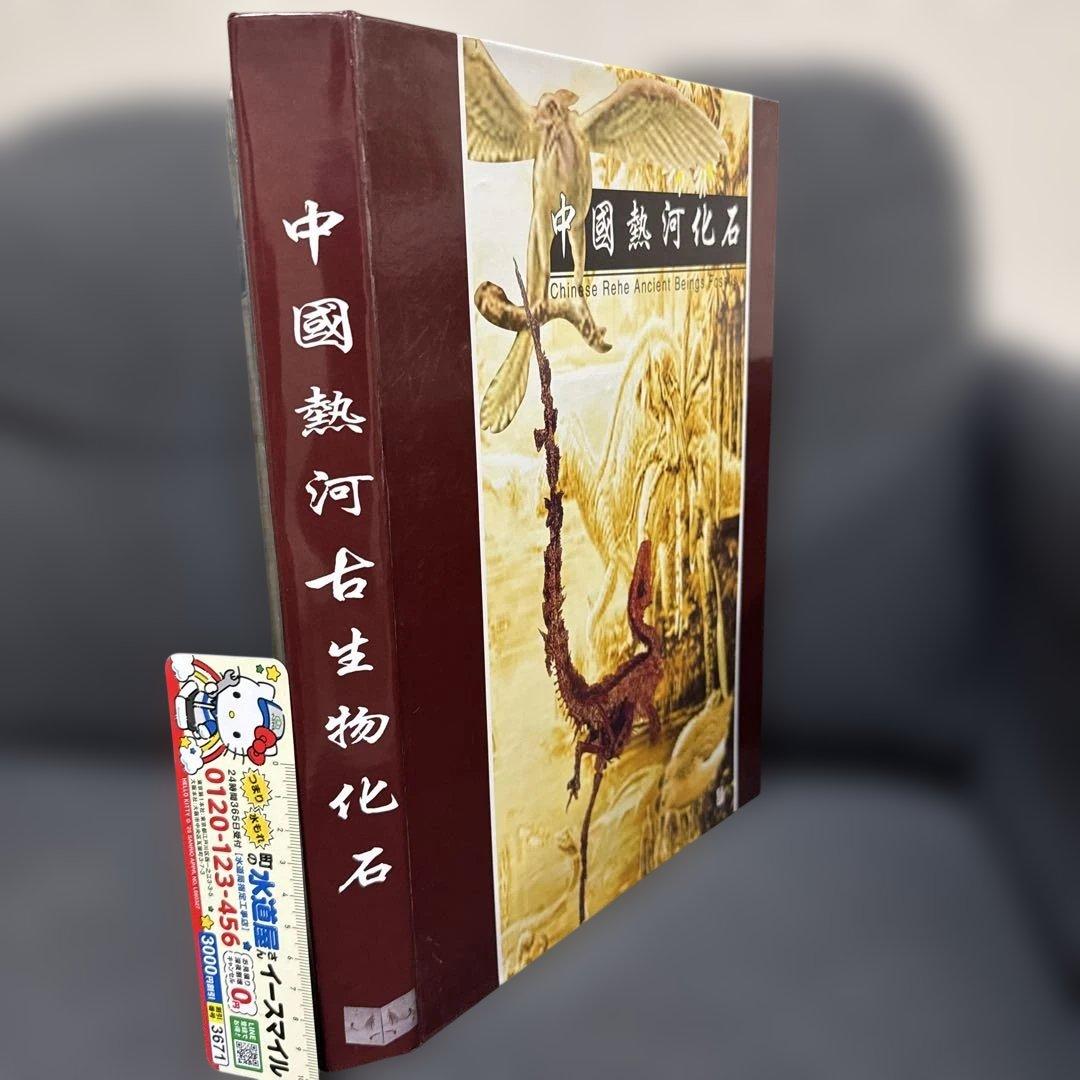 化石　フィッシュ
