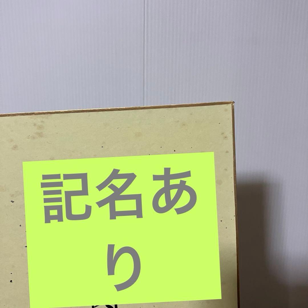 3F 【希少】航空自衛隊 第四航空団司令 御退官記念 色紙（サンマ図）平成7年