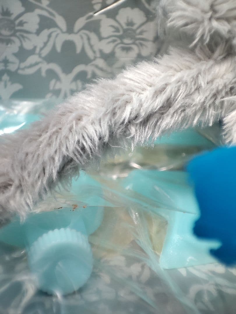 リトルビョルプラス　ギャルソン・ラット