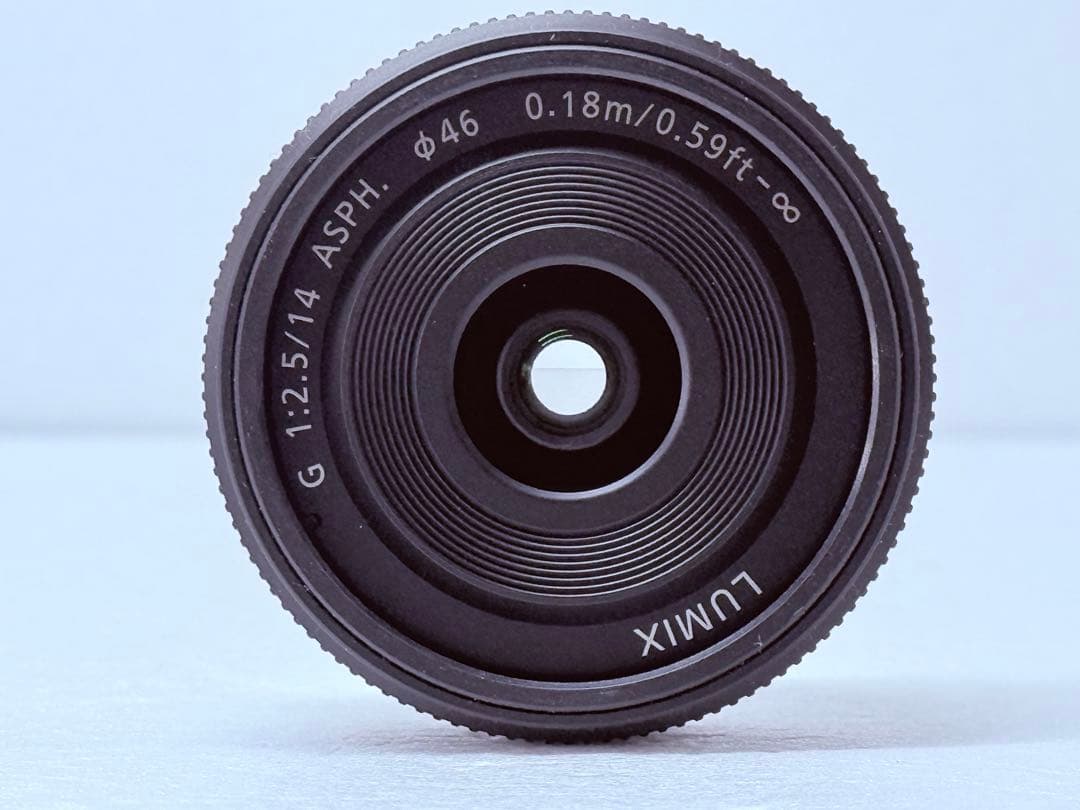 Panasonic LUMIX DMC-GF2 H-H014 レンズキット