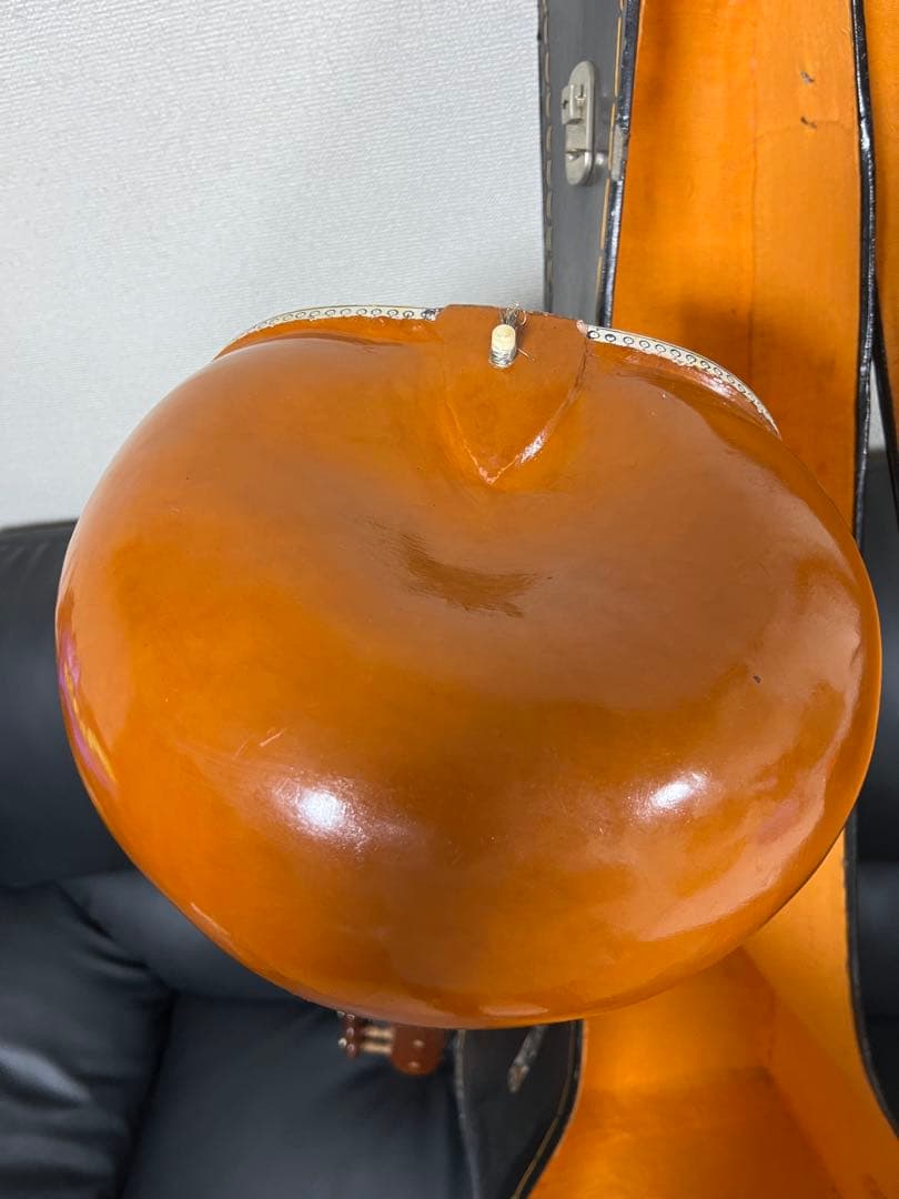 シタール インド民族楽器 ハードケース付 sitar
