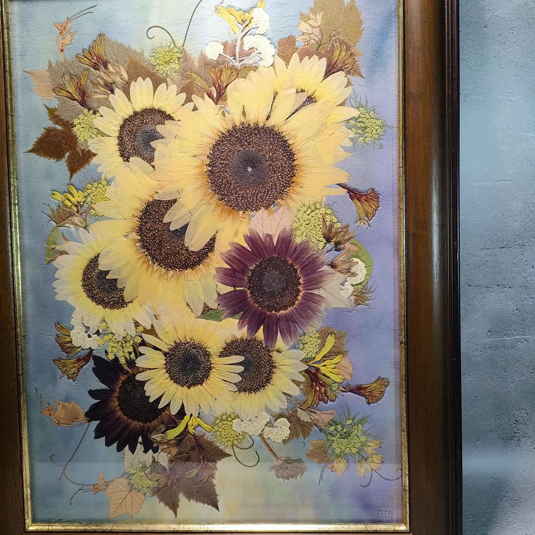 押し花専用額 押し花アート ひまわり　さくらおまとめ