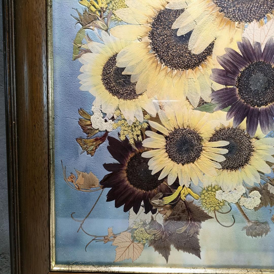 押し花専用額 押し花アート ひまわり　さくらおまとめ