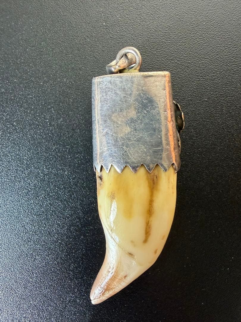 本物のインディアンジュエリー シルバー925/動物牙 ヴィンテージ【超希少品】