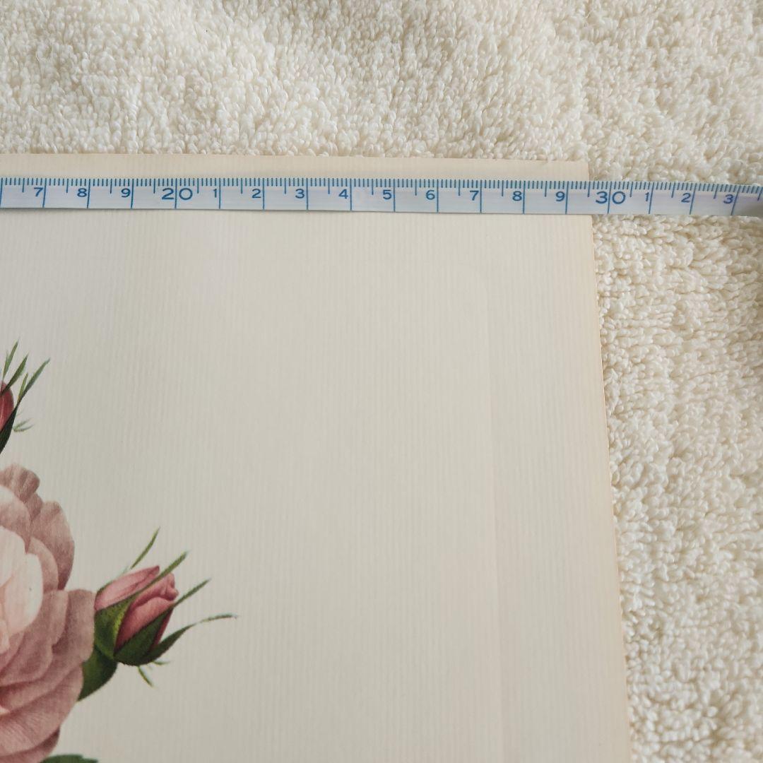 絵画 The Best of Redoute 's ROSES 1960