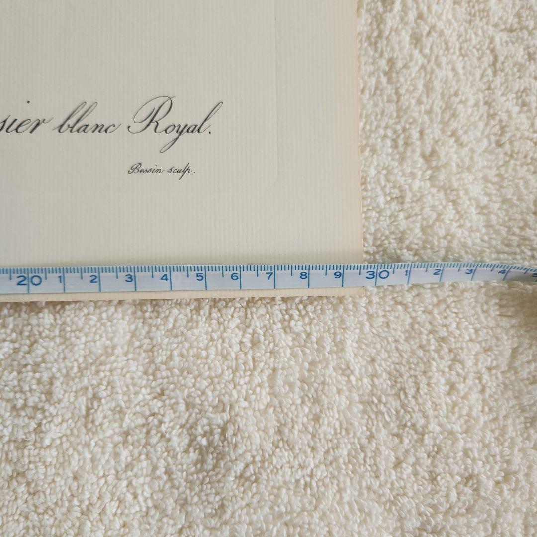 絵画 The Best of Redoute 's ROSES 1960