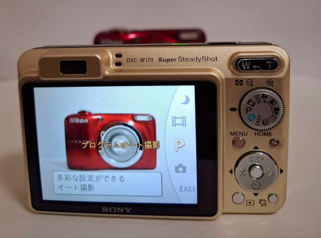 [極美品]SONY Cyber-Shot DSC-W170 デジタルカメラ