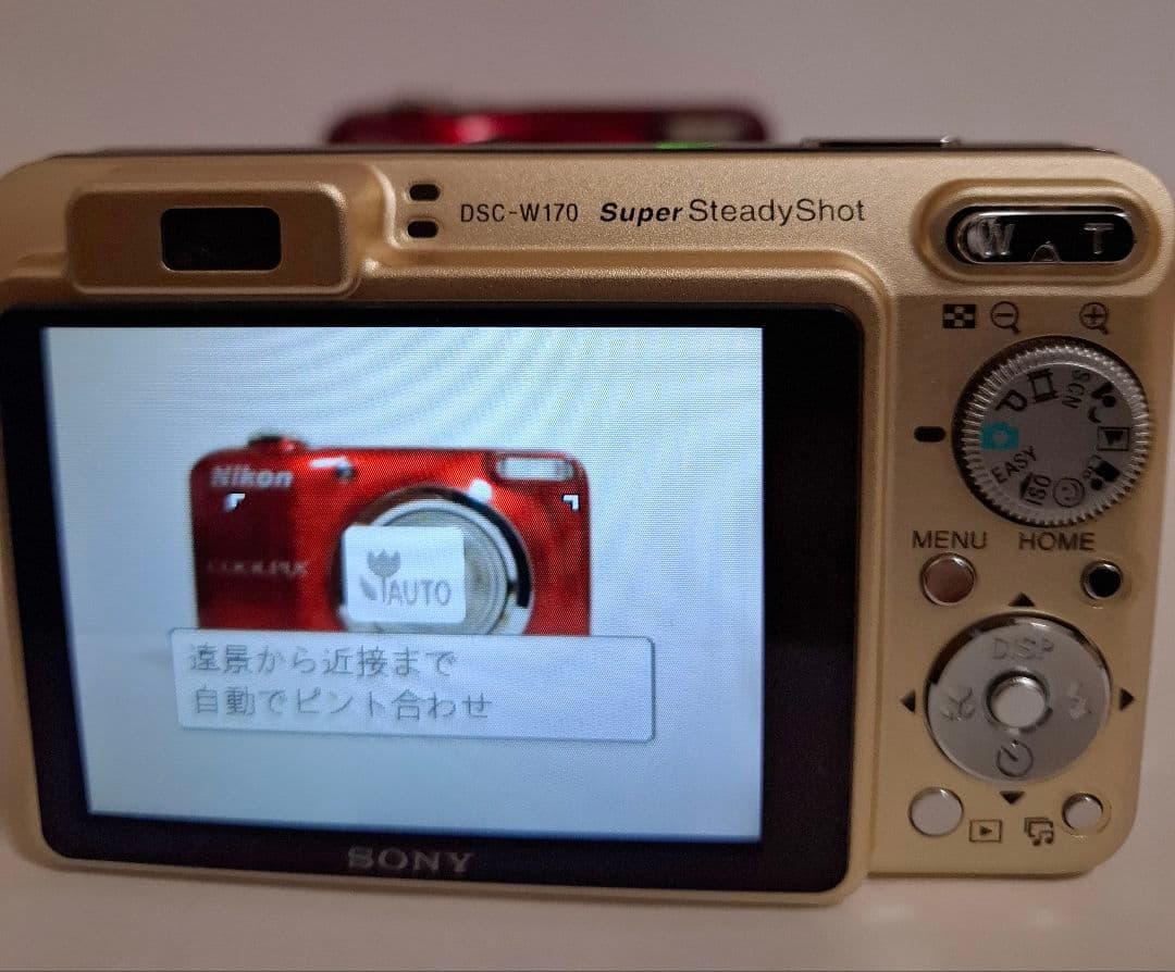 [極美品]SONY Cyber-Shot DSC-W170 デジタルカメラ