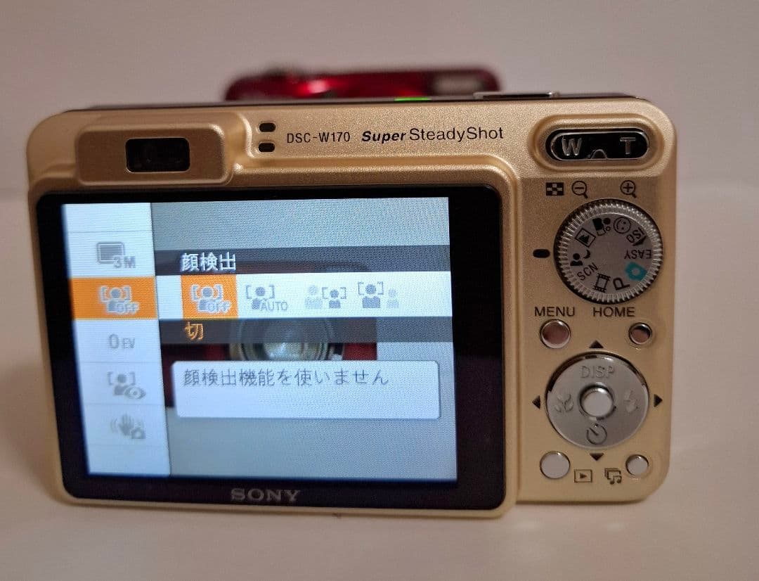 [極美品]SONY Cyber-Shot DSC-W170 デジタルカメラ