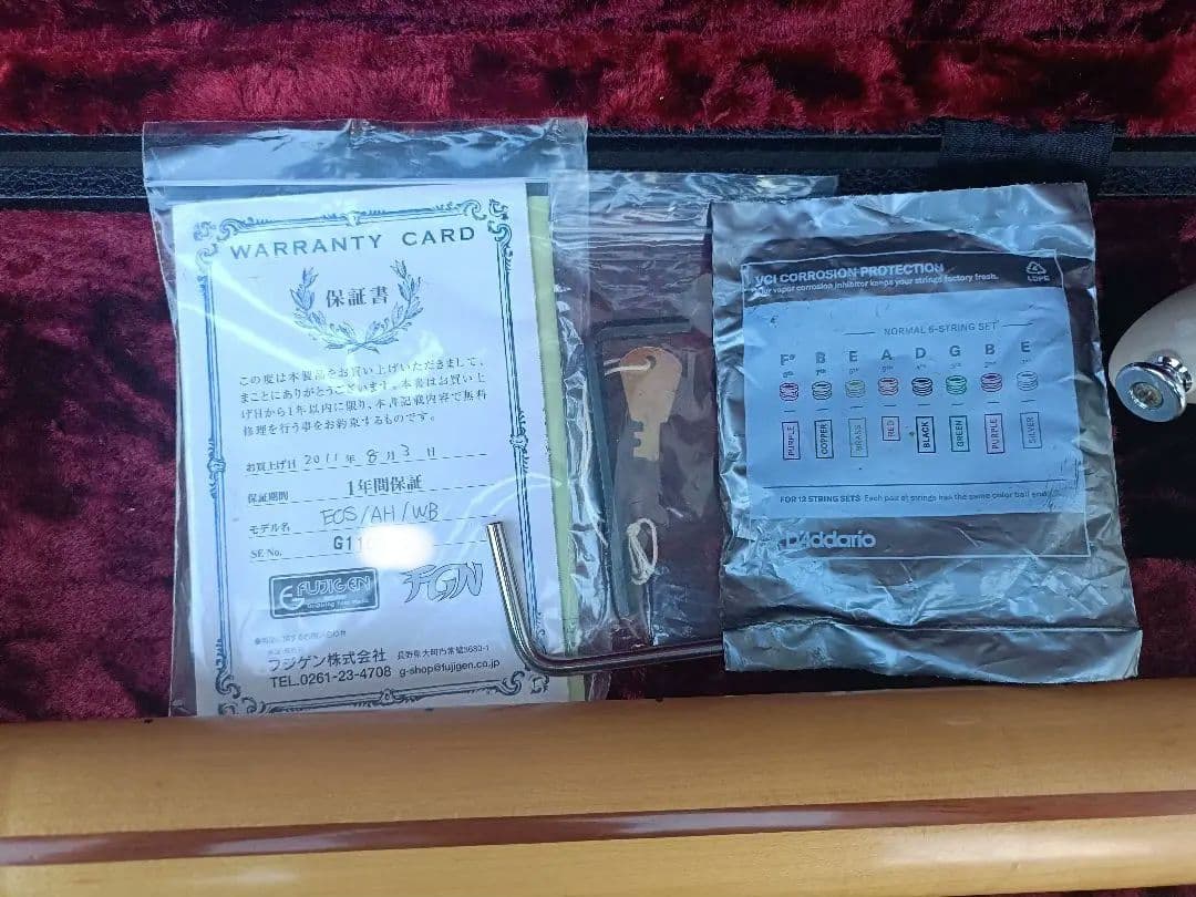 FUJIGEN　EOS ASH WB ギター（セミオーダー品）　ハードケース付