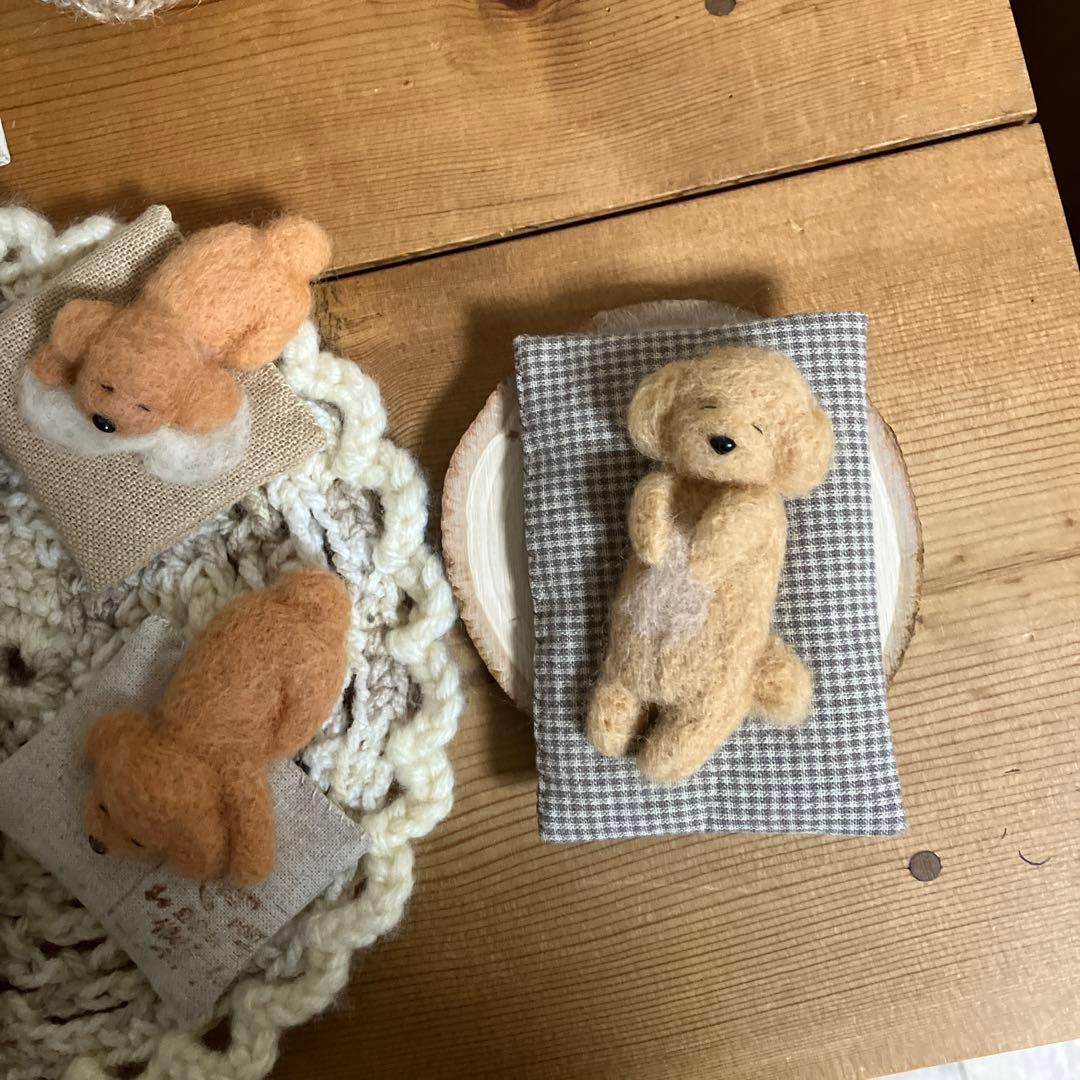 眠っているトイプードル　見本