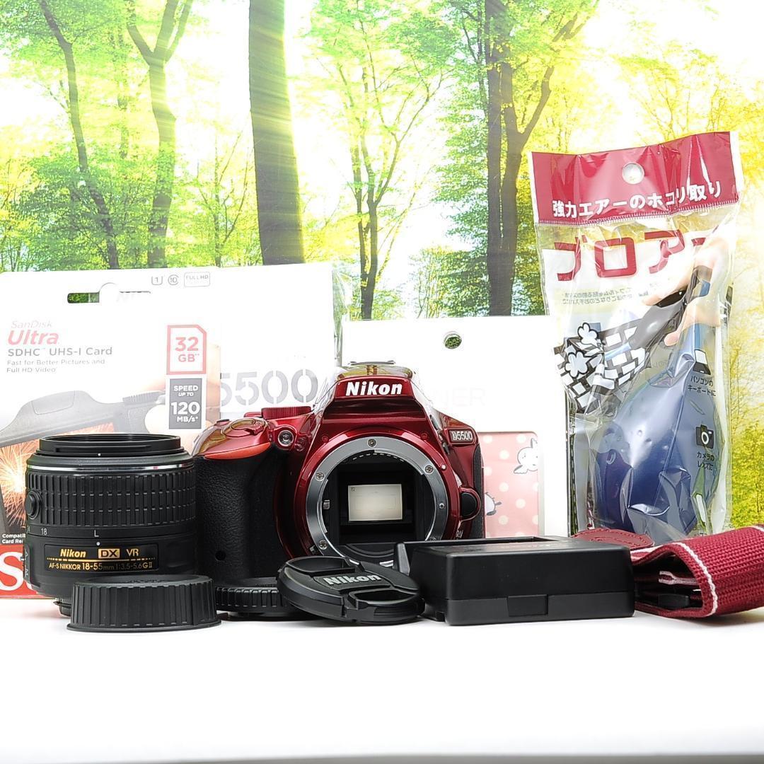 ショット数1307枚！WiFi搭載機種♪Nikon D5500Wセット