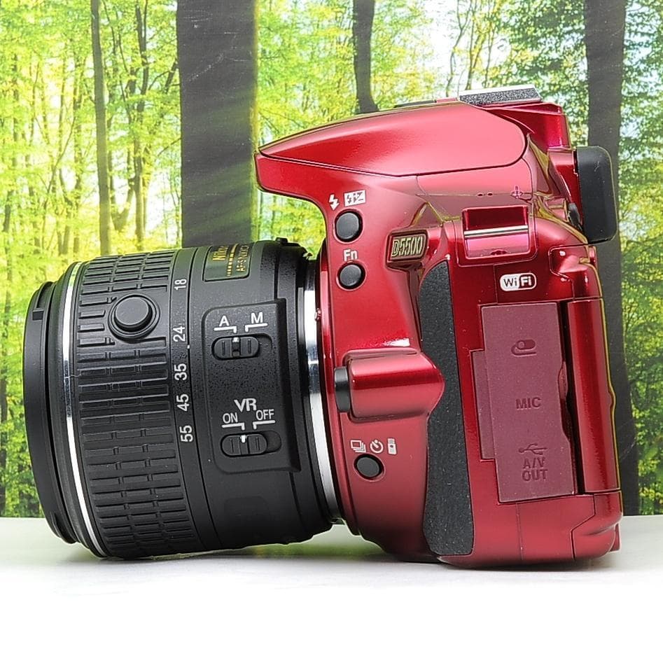 ショット数1307枚！WiFi搭載機種♪Nikon D5500Wセット