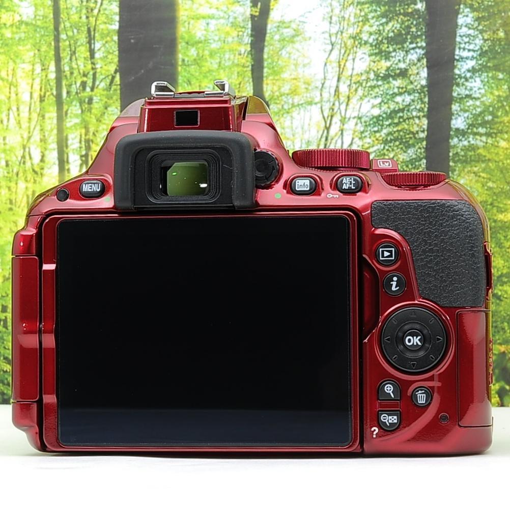 ショット数1307枚！WiFi搭載機種♪Nikon D5500Wセット