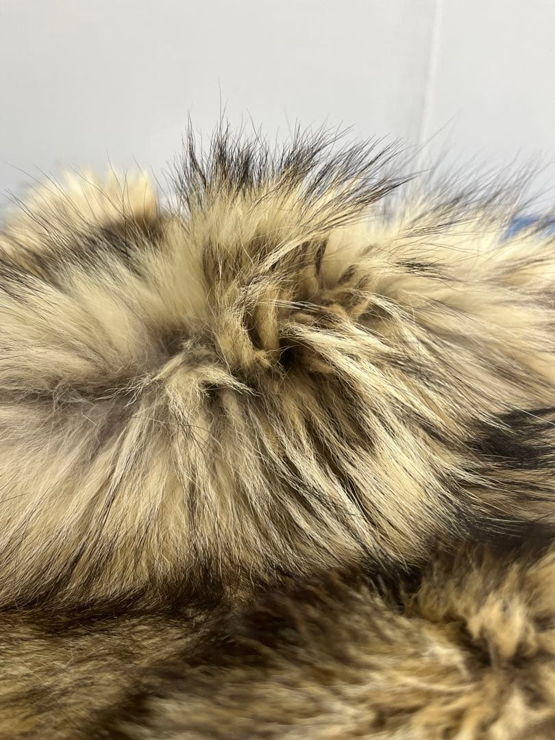 【毛皮】オオカミ　原反　国際希少野生動植物種登録票付き　管理番号37