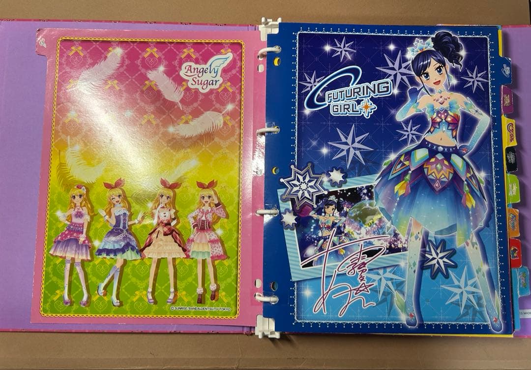 アイカツ 9ポケットバインダー＆カード49枚