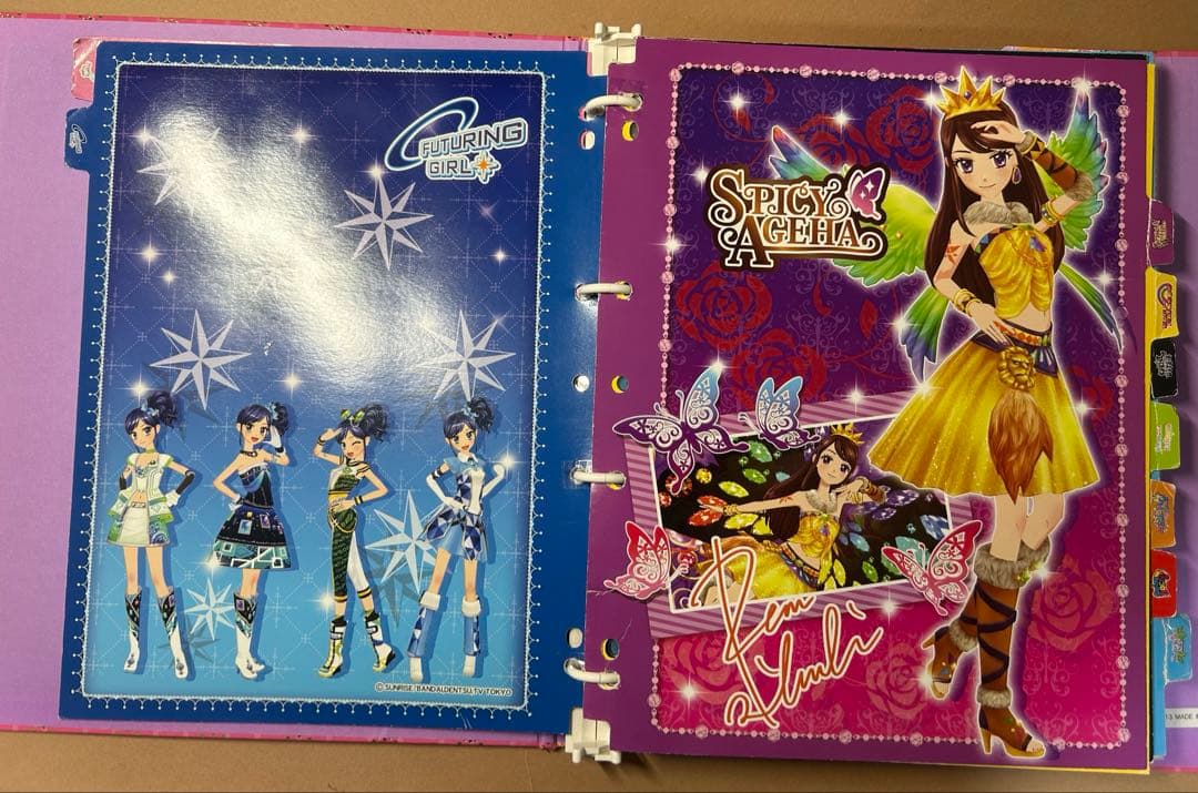 アイカツ 9ポケットバインダー＆カード49枚