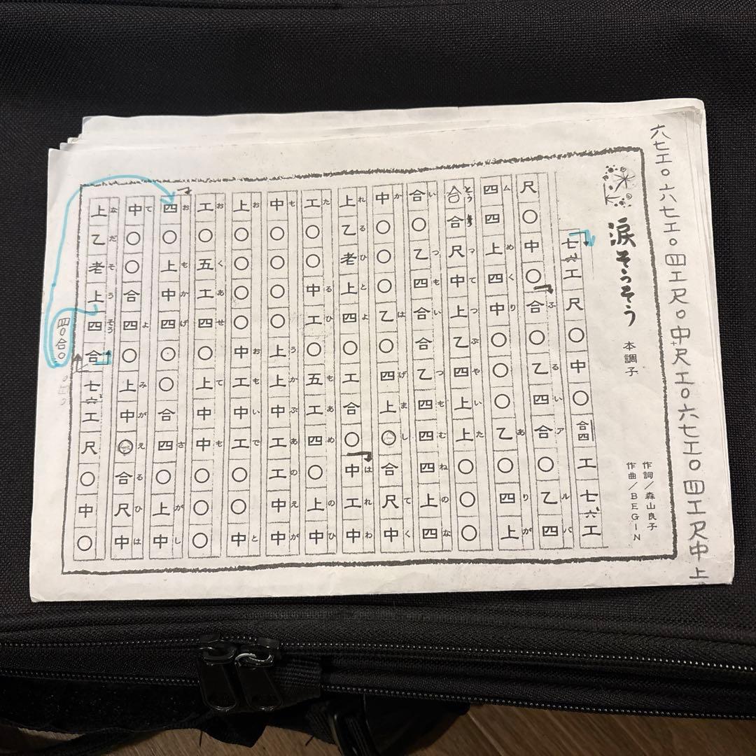 【本日限定セール‼︎】沖縄　三線　三味線　ソフトケースのおまけ付き