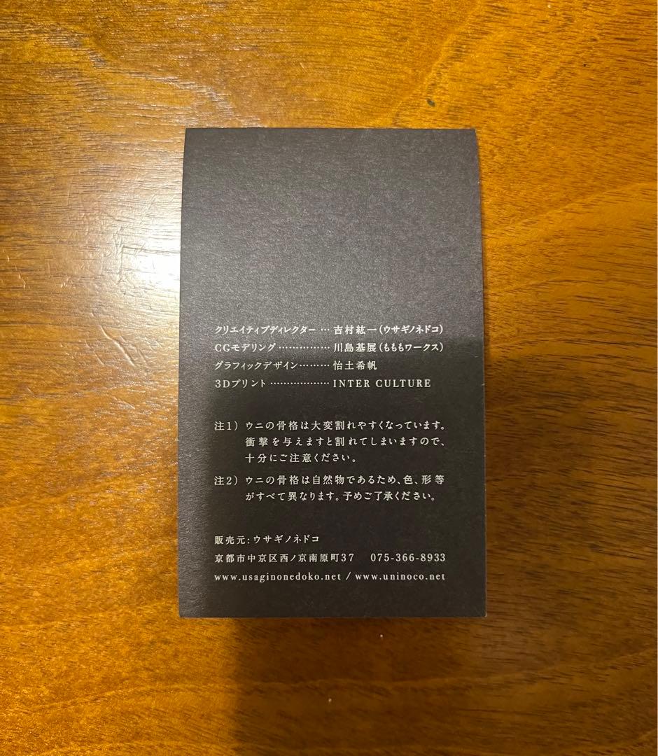 【廃盤】ウサギノネドコ uninoco ウニ　ソラキューブ キノコ きのこ 置物