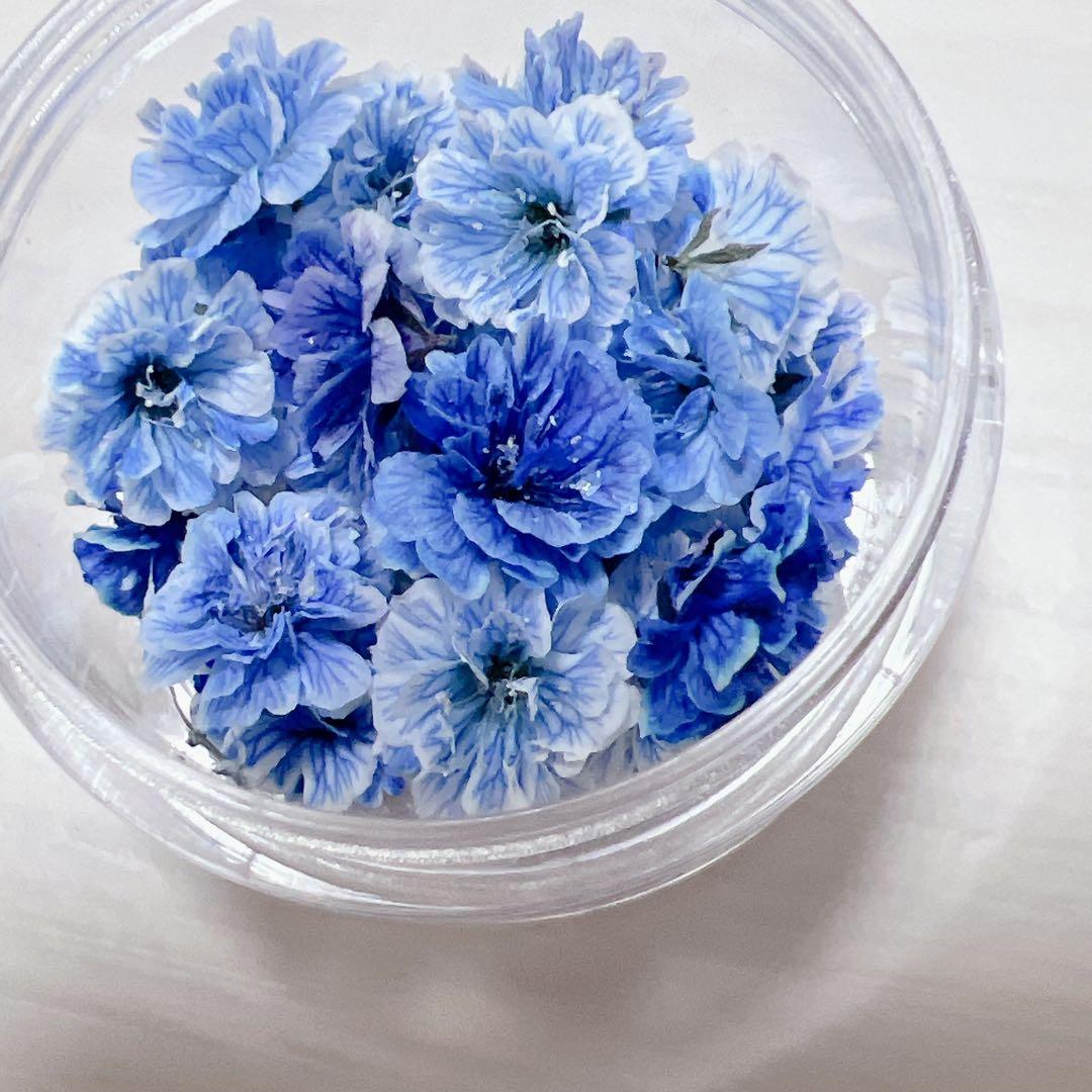 かすみ草ドライフラワー