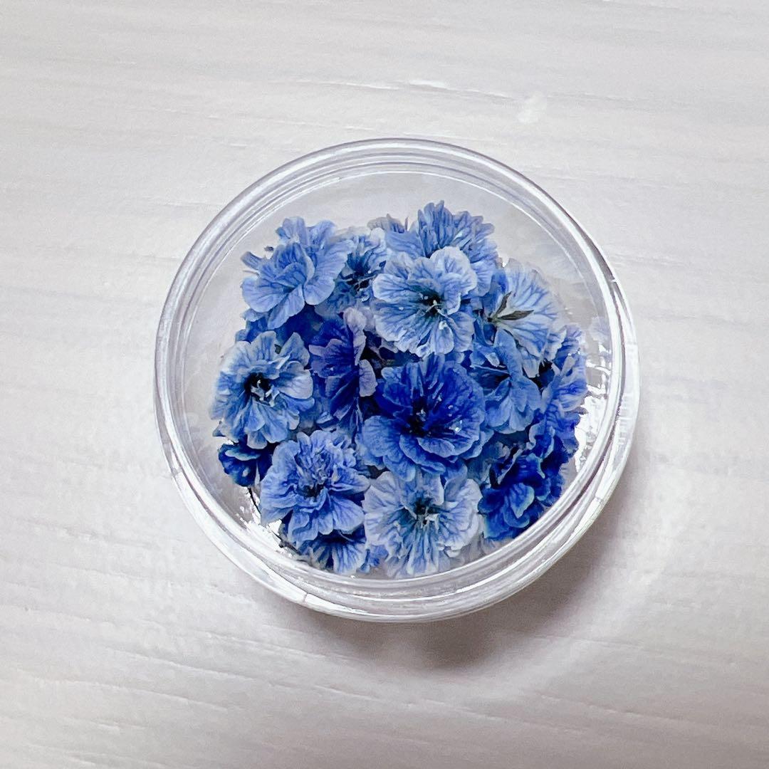 かすみ草ドライフラワー