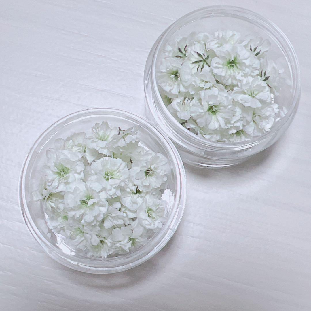 かすみ草ドライフラワー