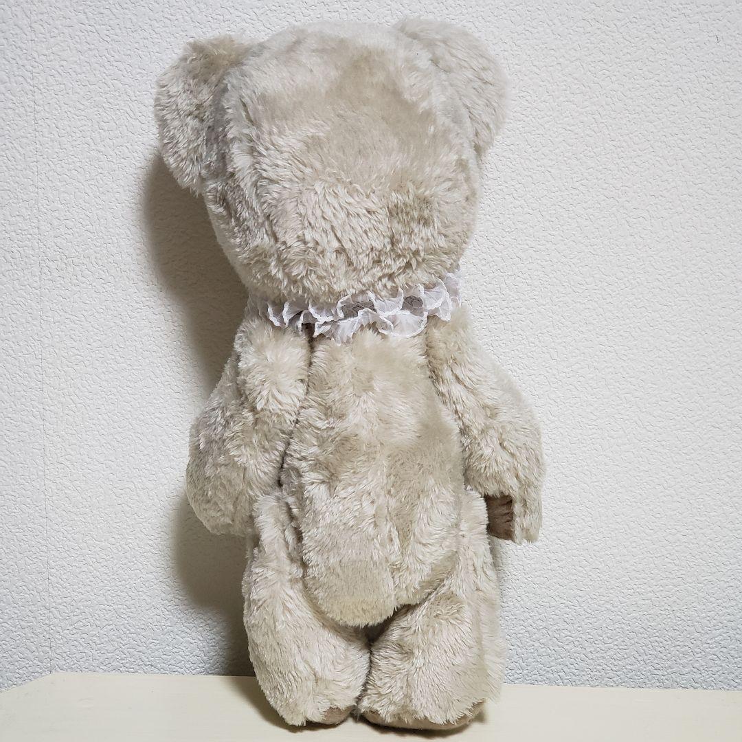 No.676 テディベア　BD 2026.1.15 ライトベージュ×つけ襟