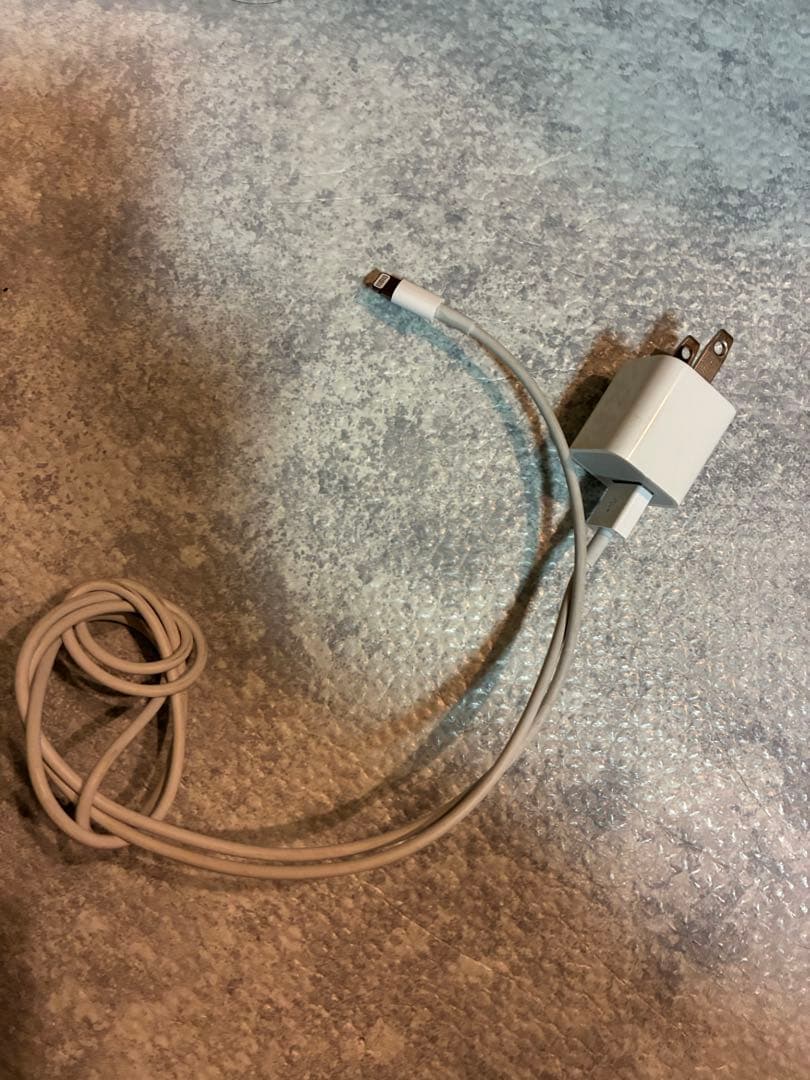 AirPods Pro 2nd Generation 本体（第二世代）