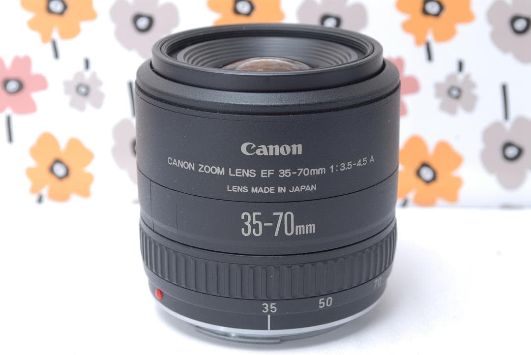 ❤Canon EOS 6D❤ボケ感を楽しむ❤Wi-Fi搭載❤フルサイズ一眼❤