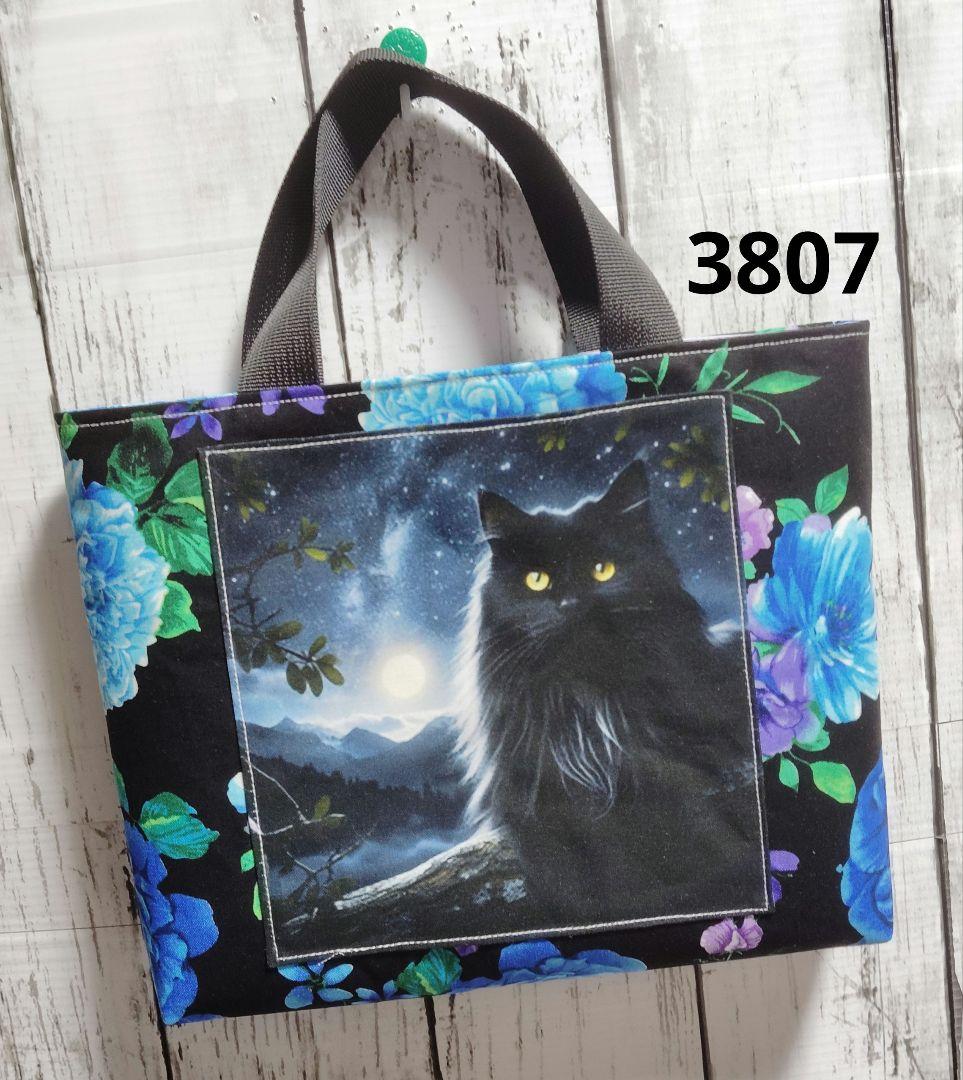 3007　3173　3620　3644　3807