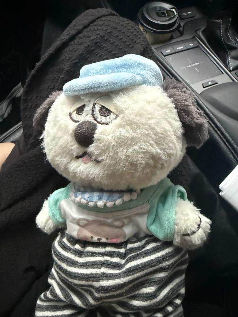 うさぽさま確認用