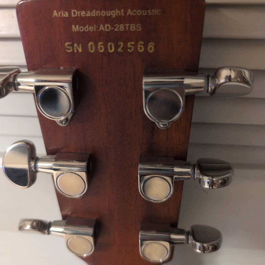 Aria Dreadnought AD-28TBS トップ単板　低弦高　美品