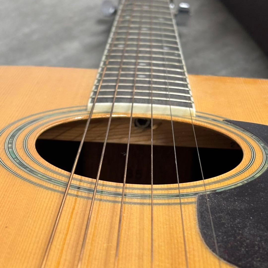 Morris モーリス アコースティックギター W-35 ケース付き D219