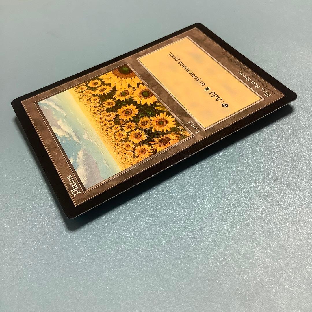 平地/Plains  APAC1 ひまわり