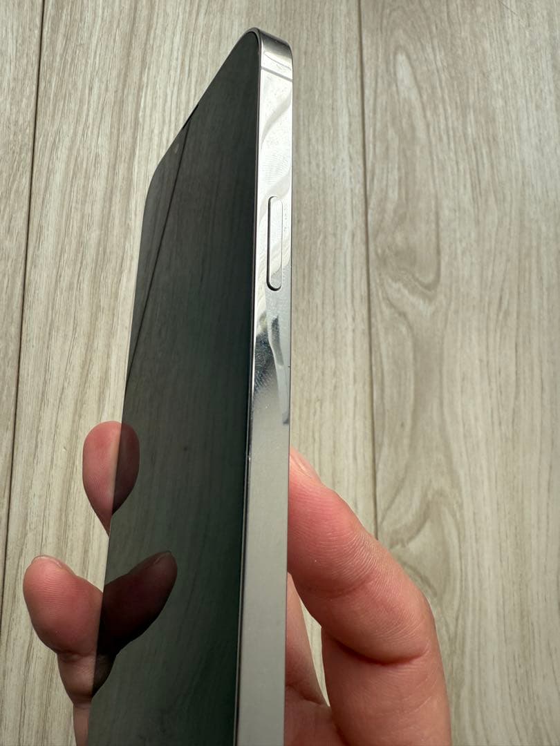 【Yahudd さん専用】iPhone 13 Pro MAX 256GB シル