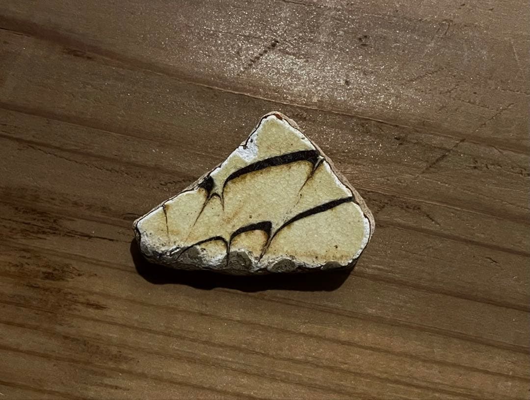 18世紀 イギリス スリップウェア陶片 F / 1700年代 アンティーク民藝