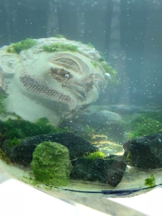 遺跡を見つけた潜水探査船 ジオラマ