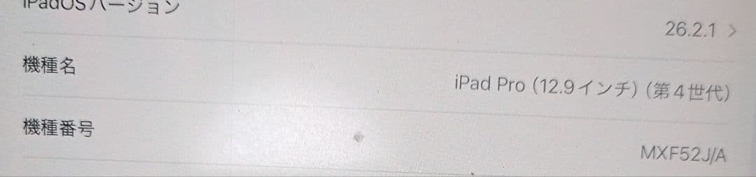 (訳あり)iPadpro第4世代256GB　Wi-Fi+Cellularモデル