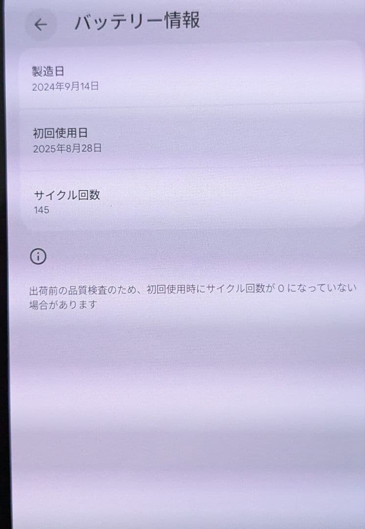 Google Pixel 9 ProFold 256GB（純正ケース付）
