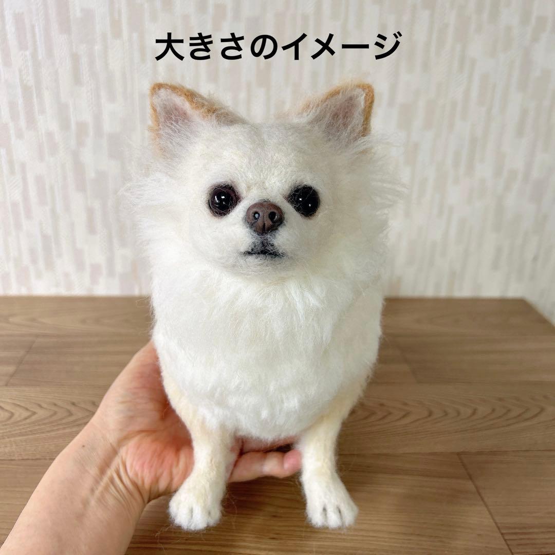 チャッピー様　オーダー専用　羊毛フェルト　犬　羊毛フェルトチワワ