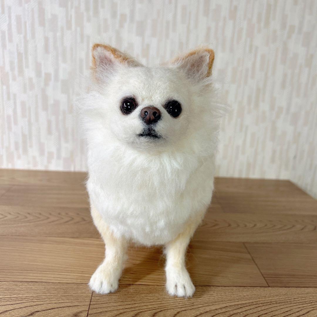チャッピー様　オーダー専用　羊毛フェルト　犬　羊毛フェルトチワワ