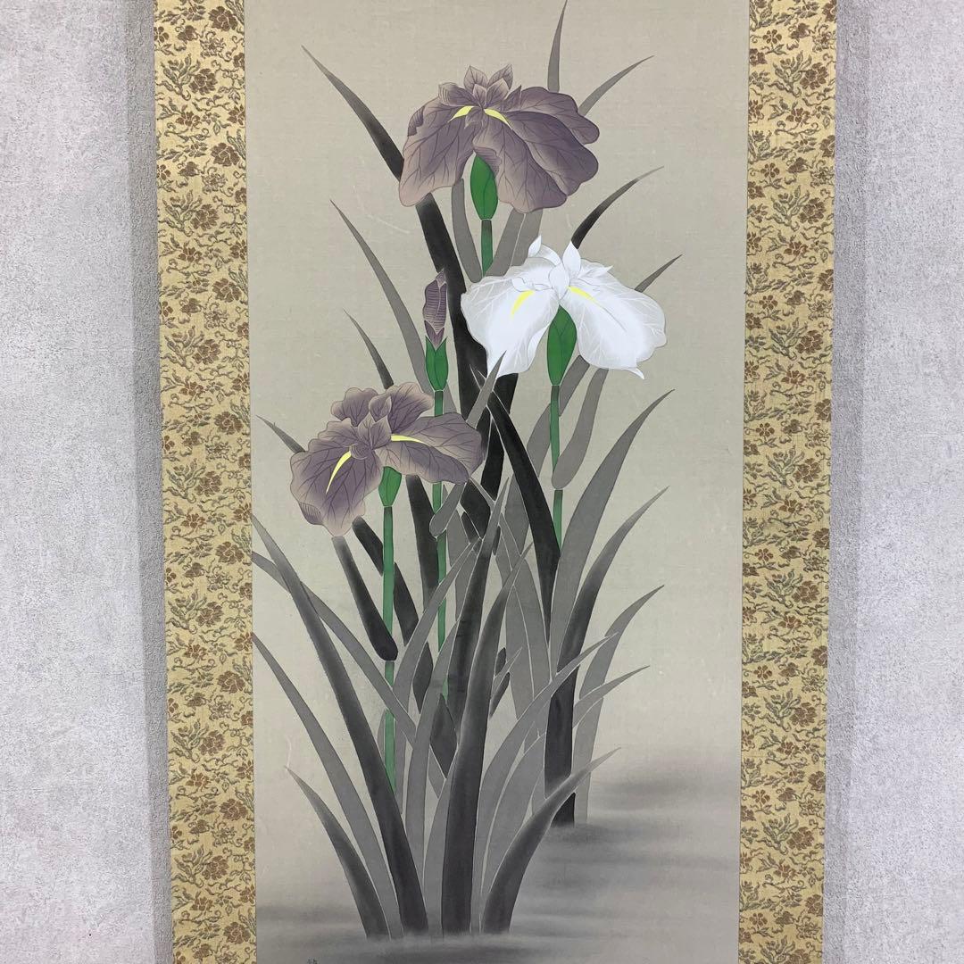 掛軸 瞽堂 菖蒲