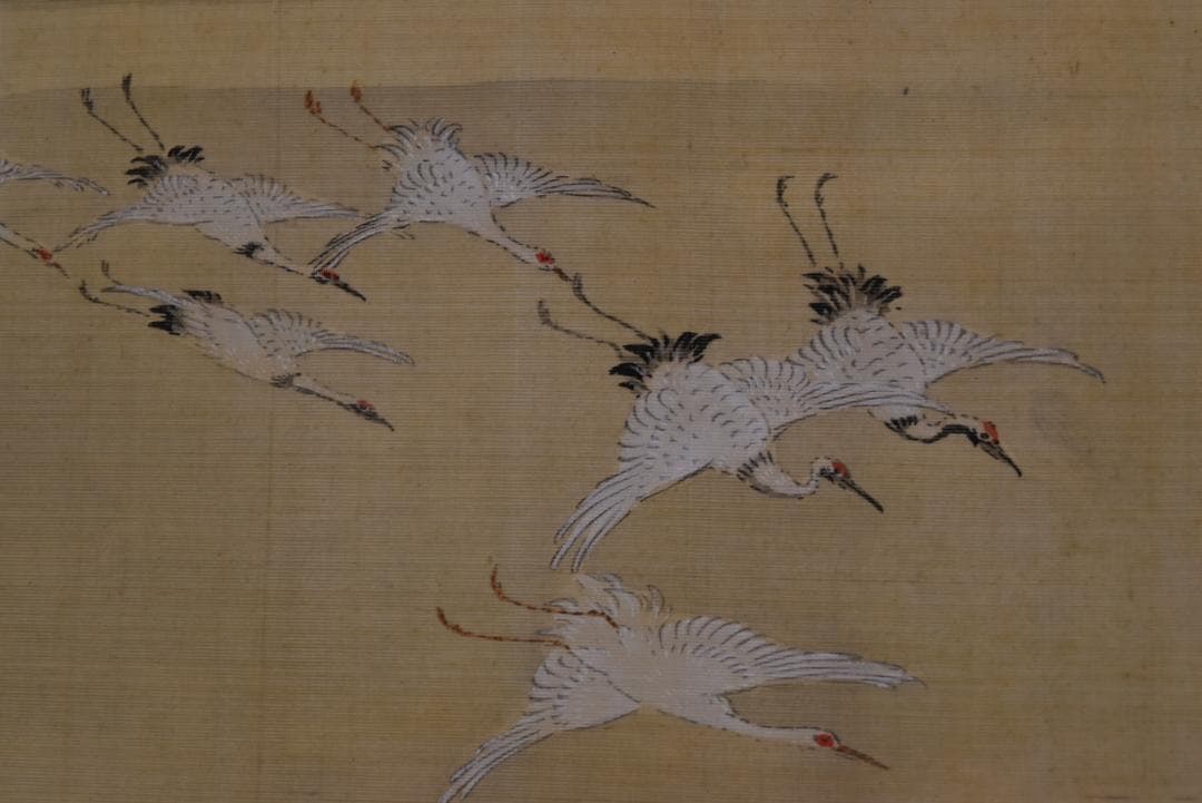 作者不詳/群鶴/千羽鶴/古画/掛軸☆宝船☆Z-729