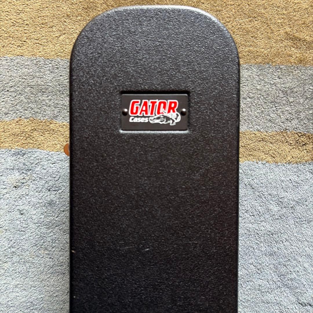 Ibanez AS53-TF タバコフラットセミアコギター・Gatorケース付き