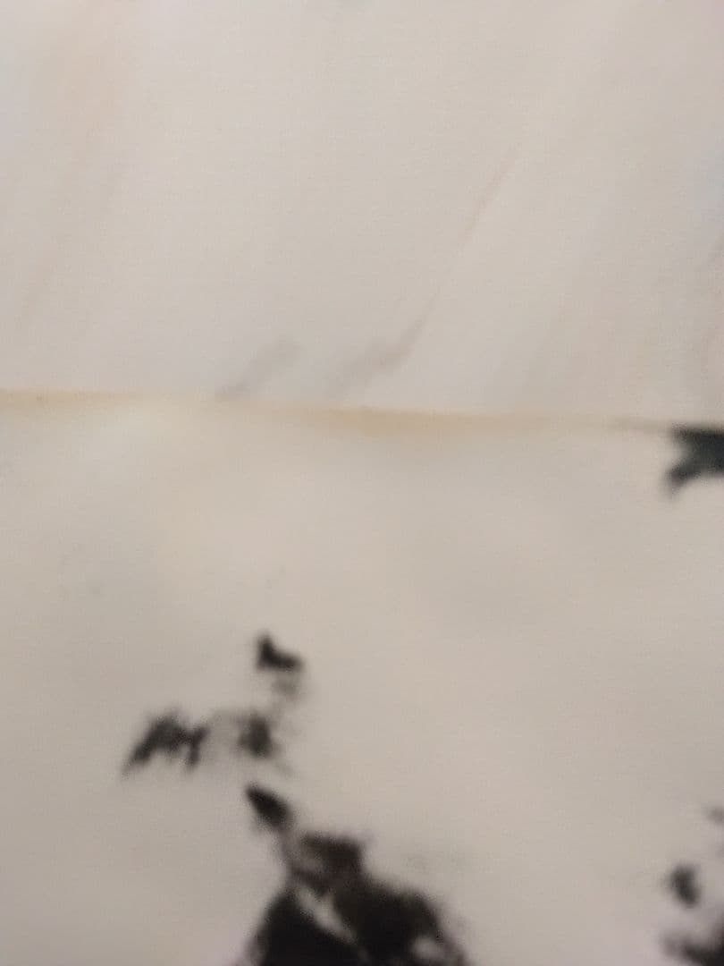 ビートルズ　ポール・マッカートニー ウィングス　ポスター