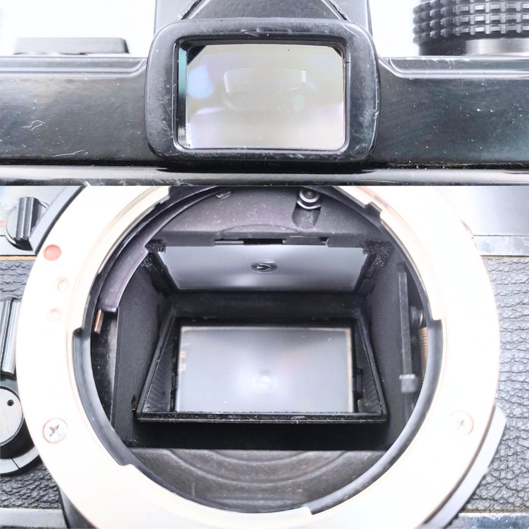 フィルムカメラ OLYMPUS OM-1 / ZUIKO MC AUTO-S 50mm F1.8