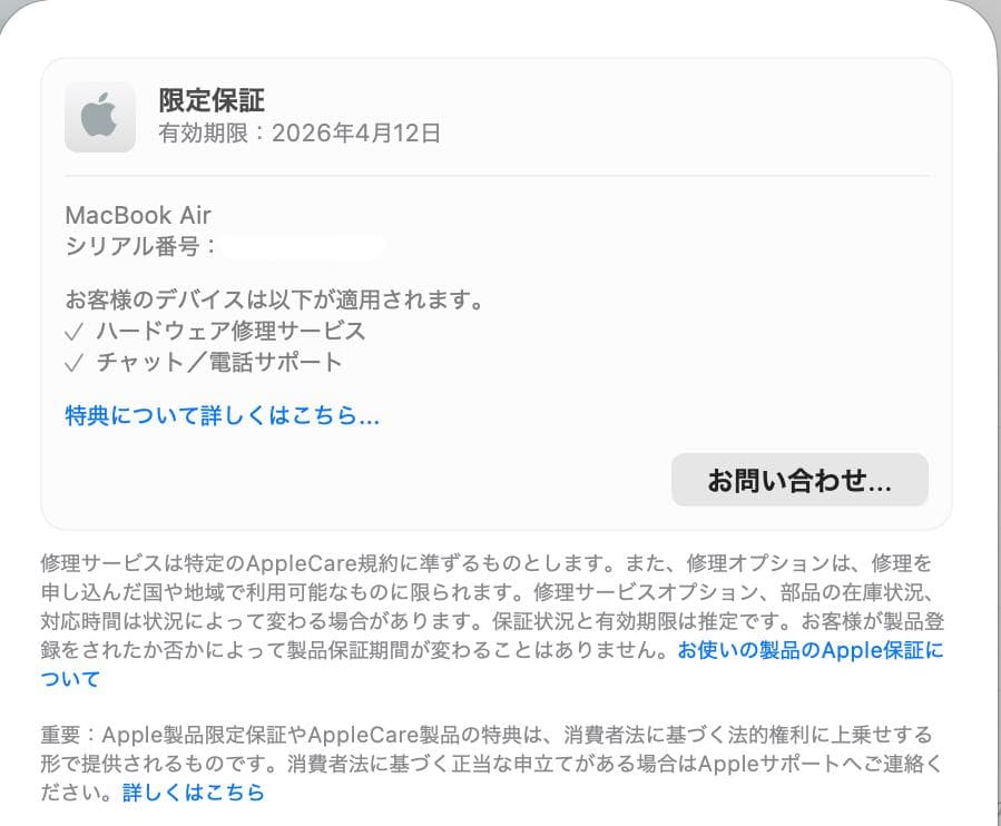 MacBook Air M4 16G 1TB スカイブルー（CTO上位構成）