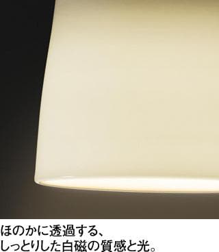 オーデリック製ペンダントライト OP252805R